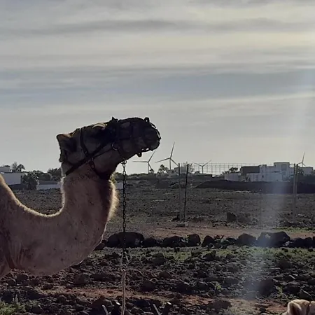 Holiday home Casa Vale